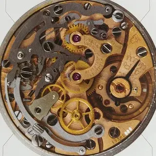 51155665317_5d8742769d_n.webp