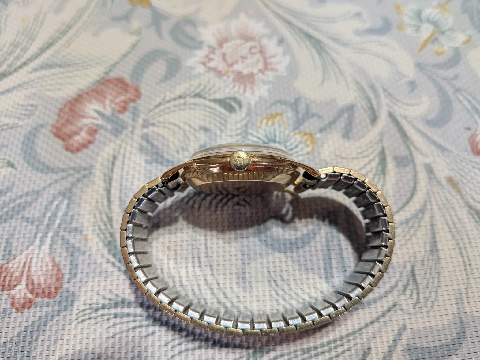 PXL_20260816_193516328.MACRO_FOCUS.webp