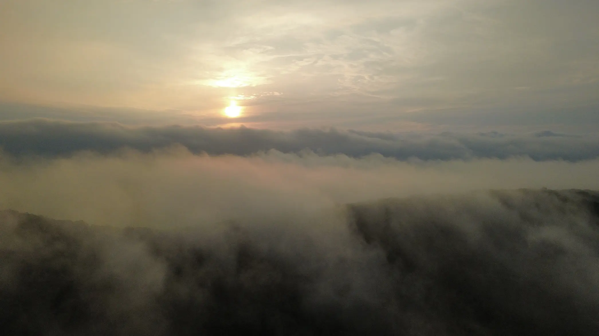 dji_fly_20260828_064824_57_1787914123887_photo_optimized.webp