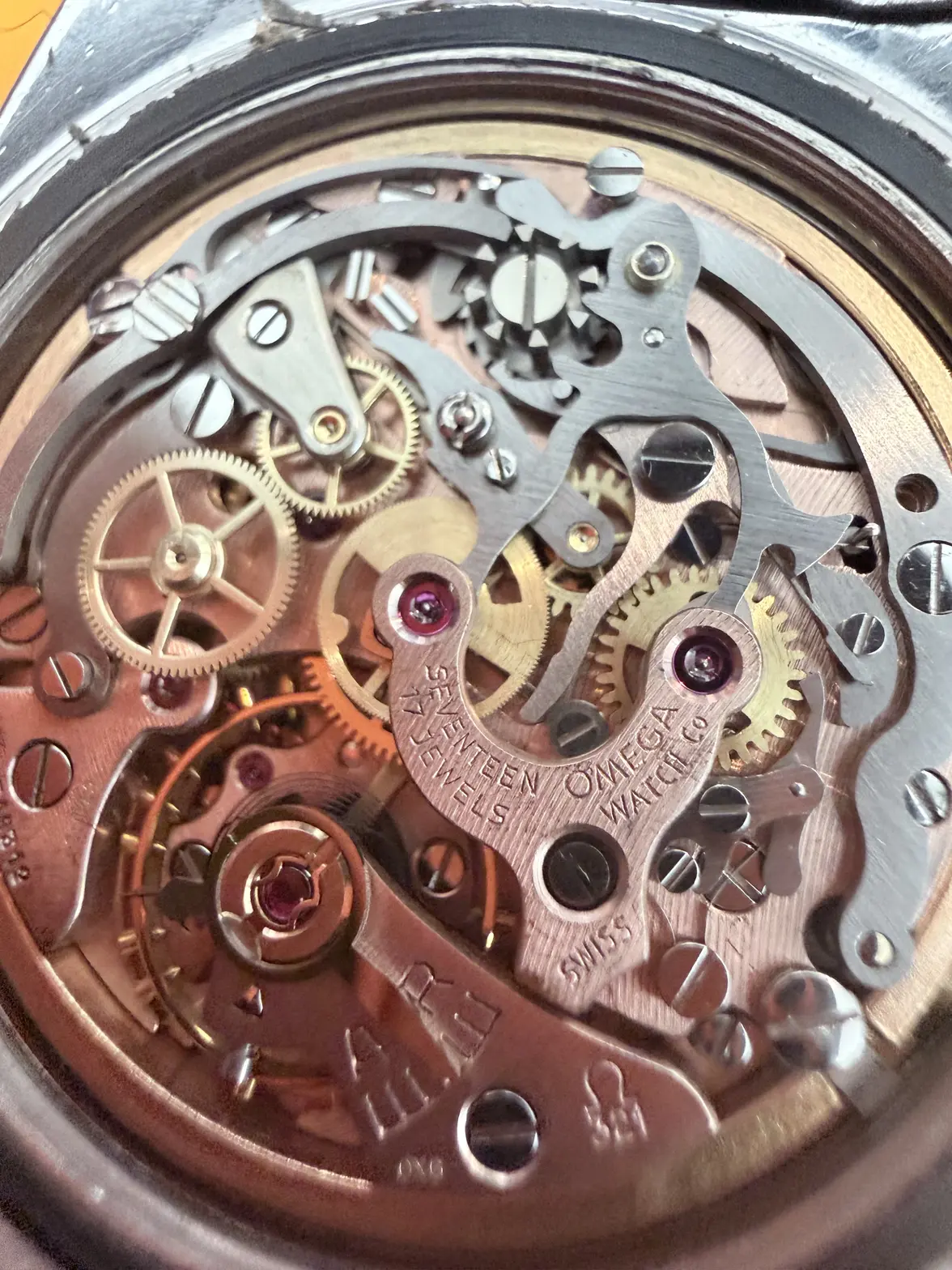 IMG_5207.webp
