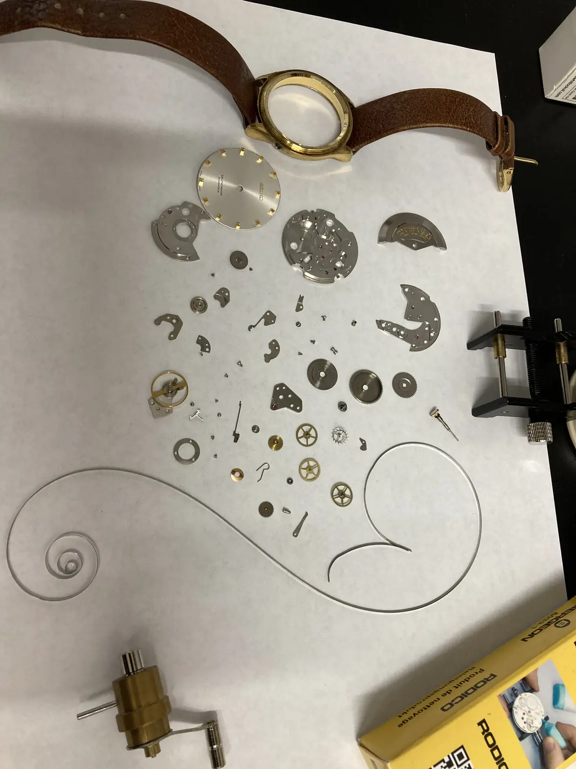 IMG_3271.webp IMG_3271.webp