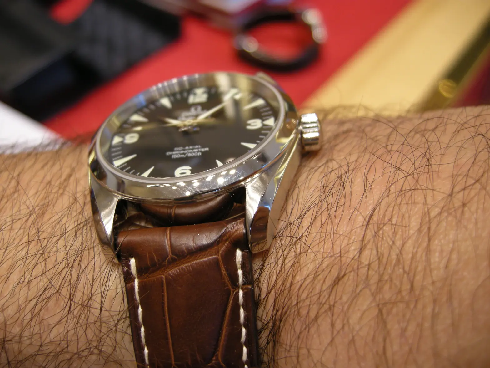 DSCN3133.webp