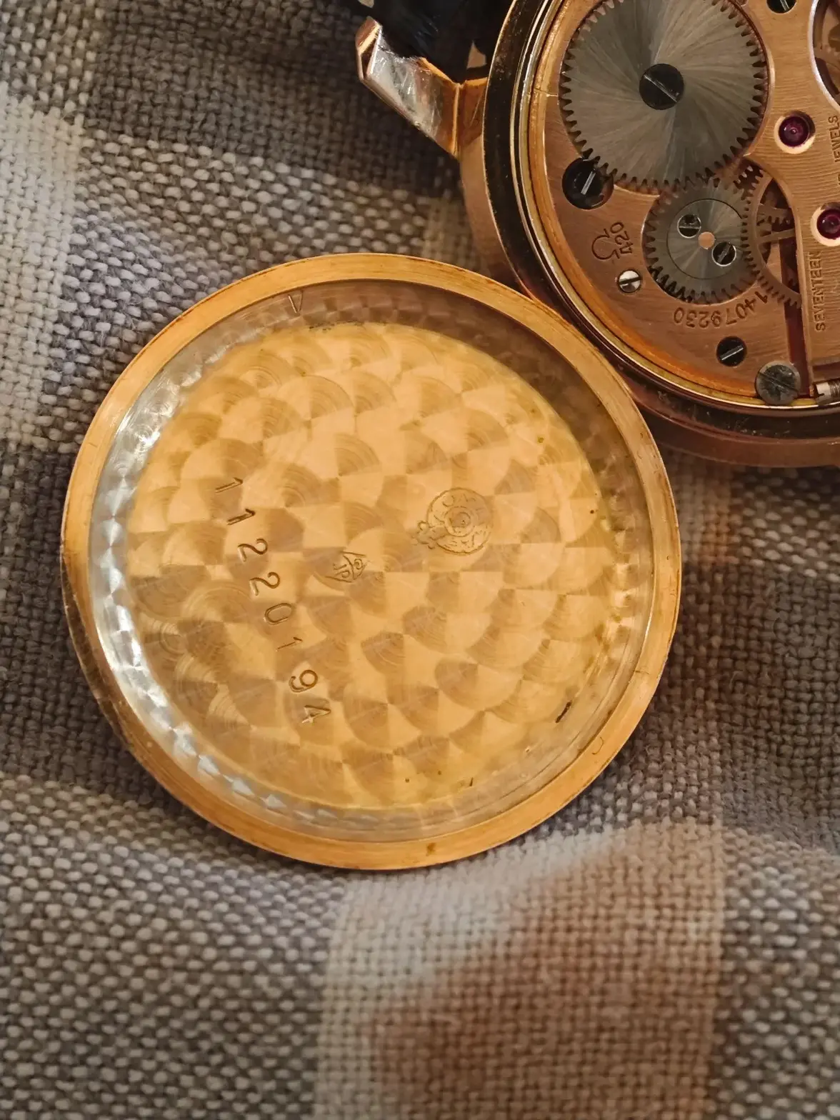 1788209687394.webp