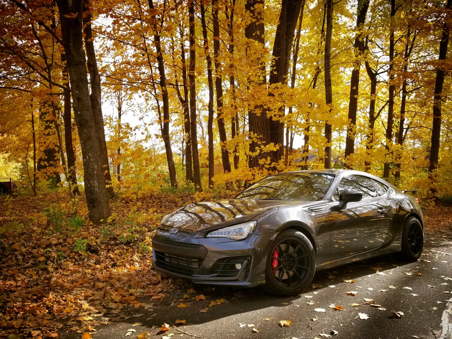 Fall BRZ.webp