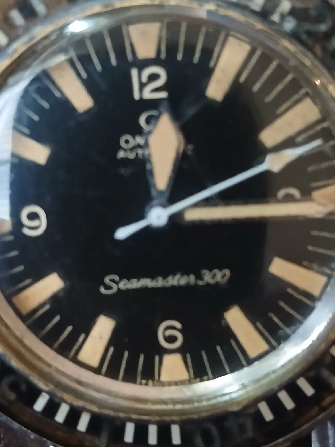 17885373251581916656917253594565.webp