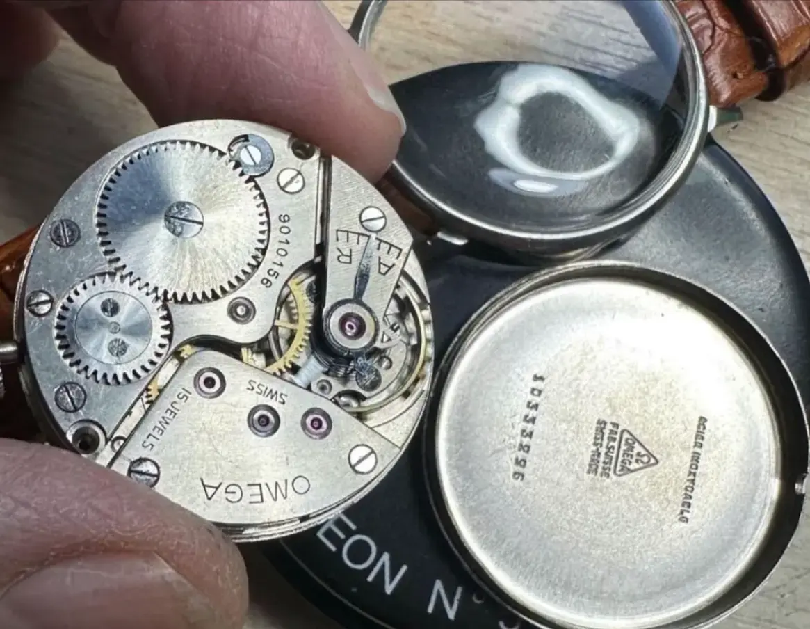 1788769145085.webp