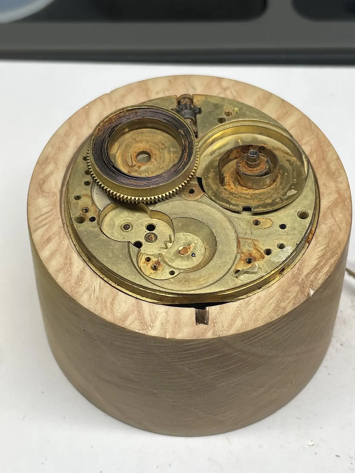 Mainspring and barrel.webp Mainspring and barrel.webp