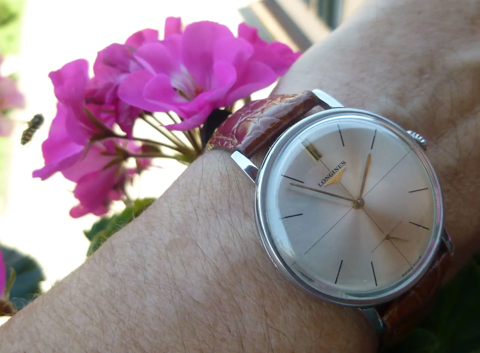 longines 30L (11).webp