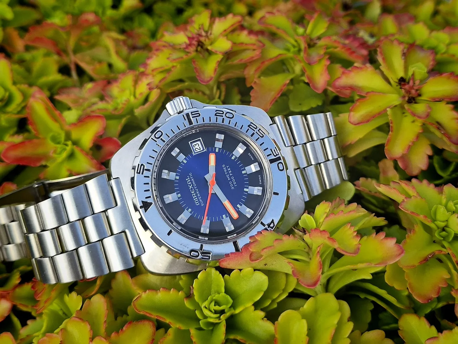 Mirexal_Superautomatic_300m_Outdoor_DTedited.webp