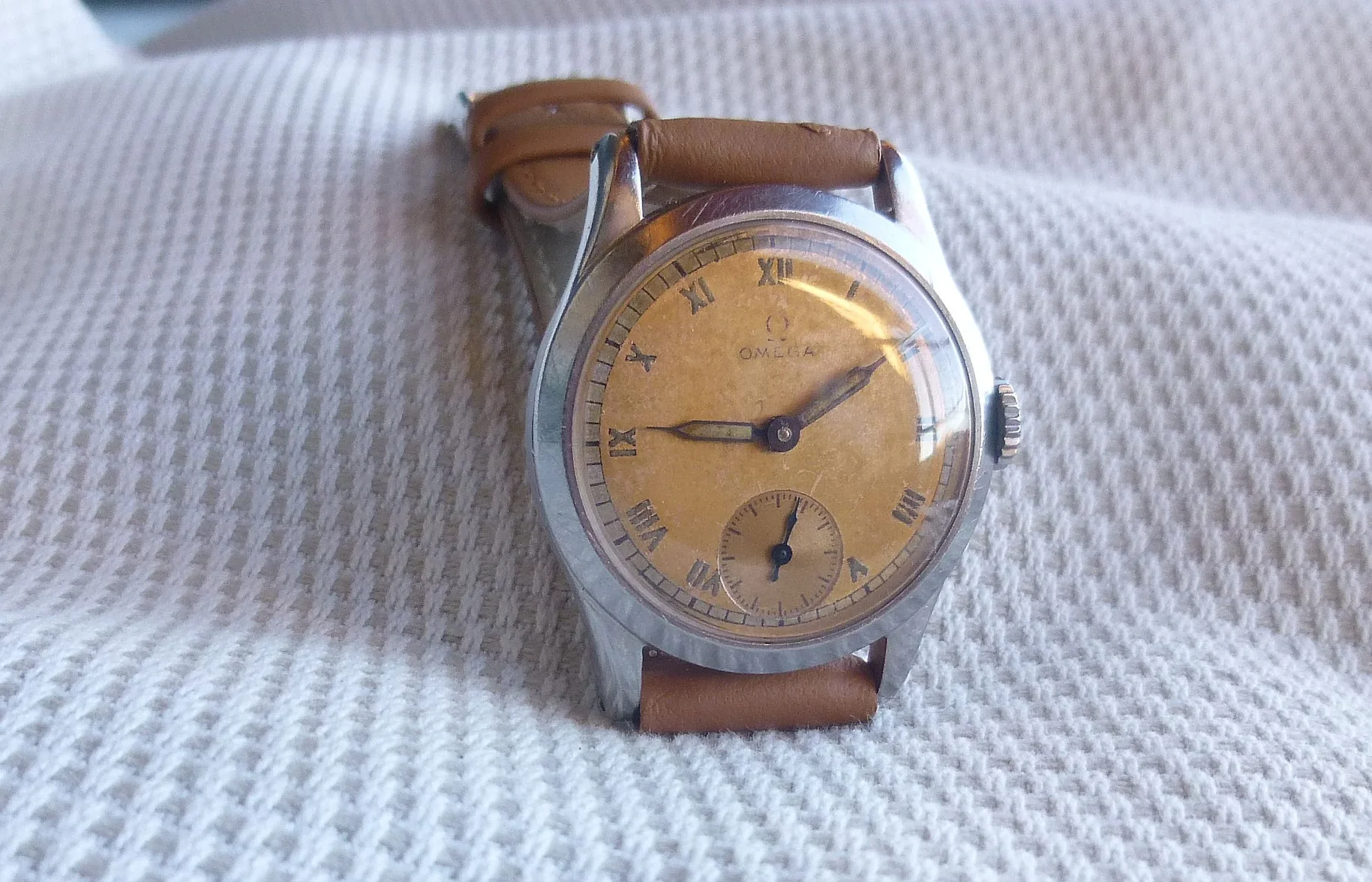 omega rame (5).webp