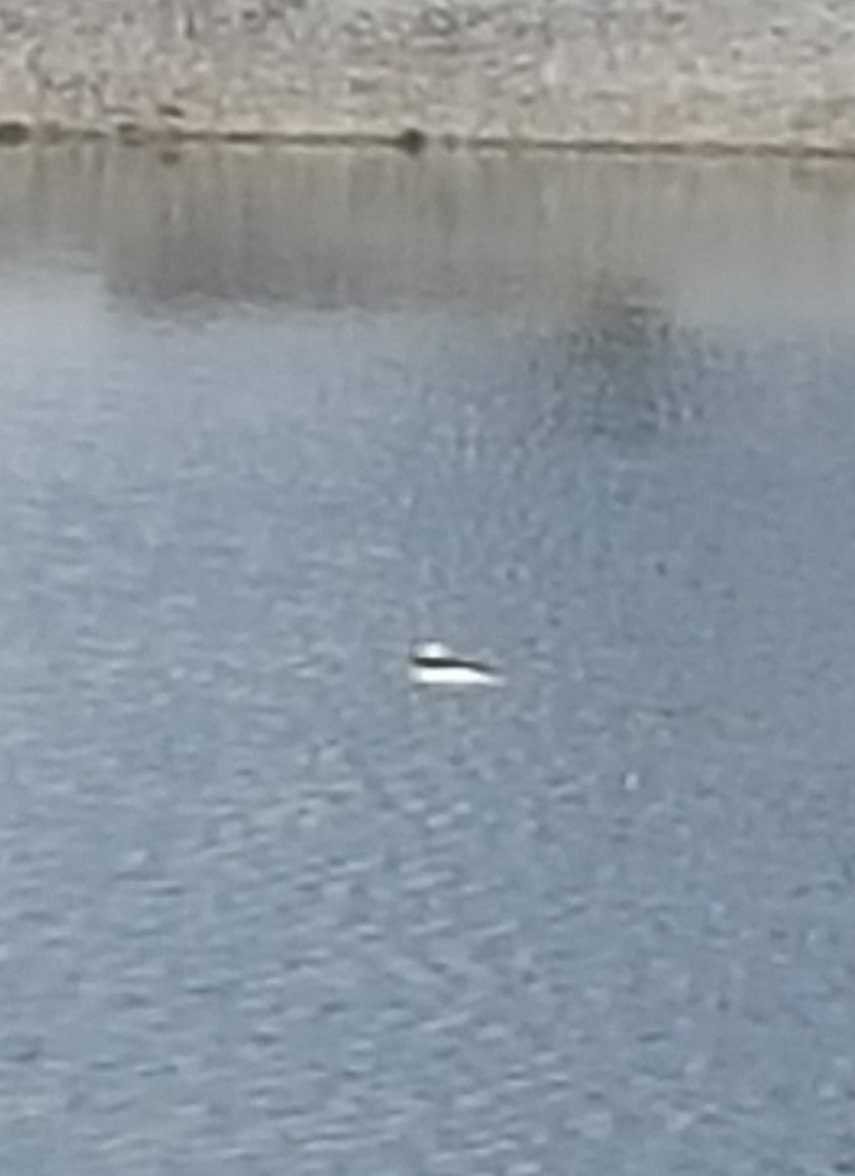 20160302_100218 (2).jpg