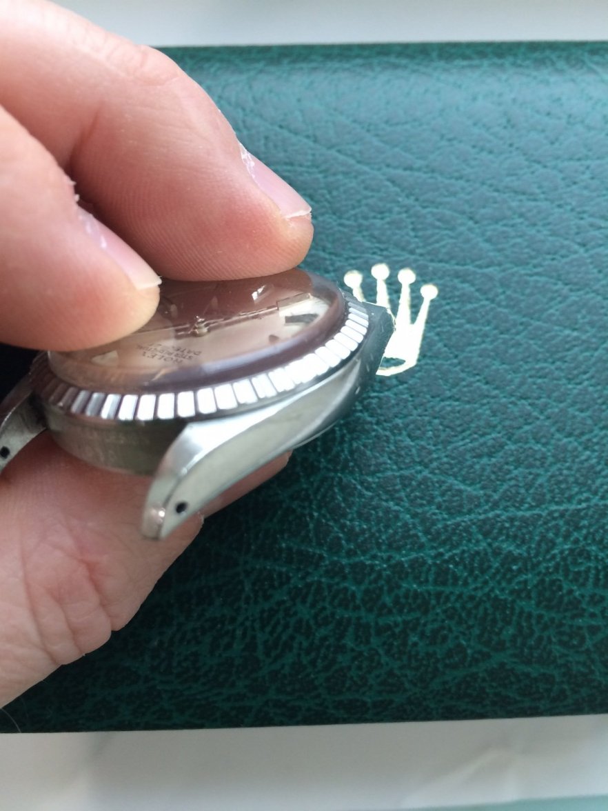 IMG_3954.JPG IMG_3954.JPG