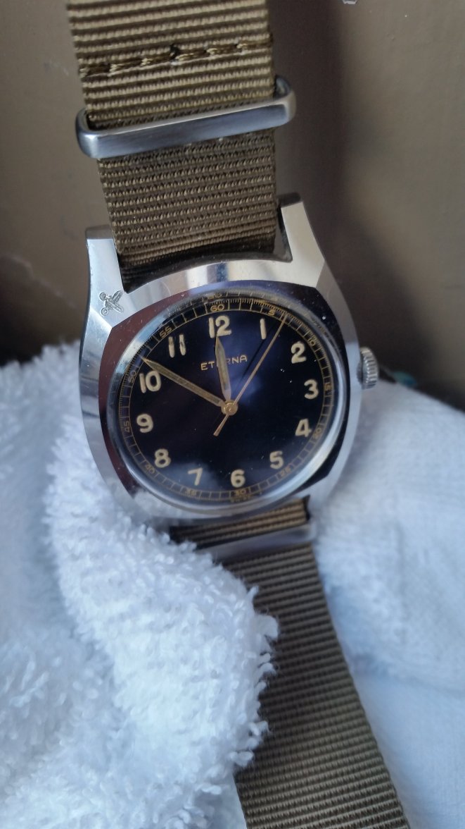 Eterna Czech Pilot 3.jpg
