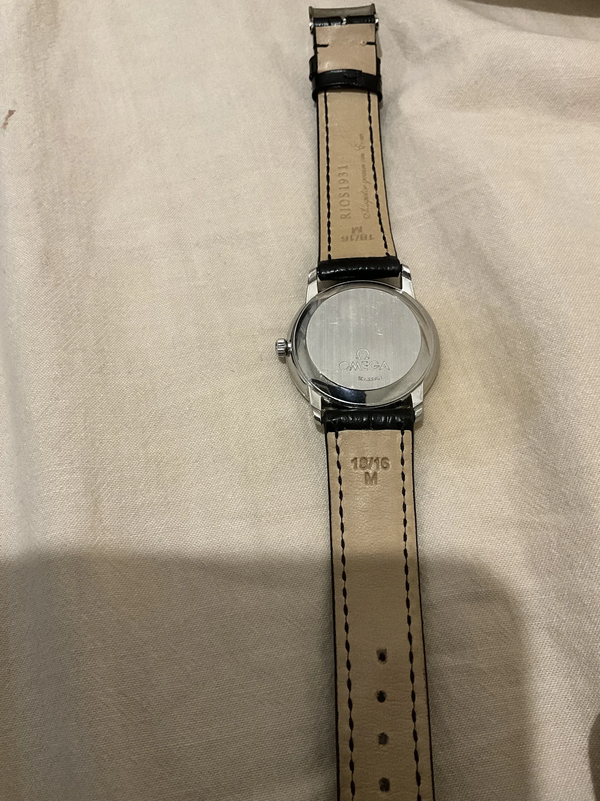 image.webp