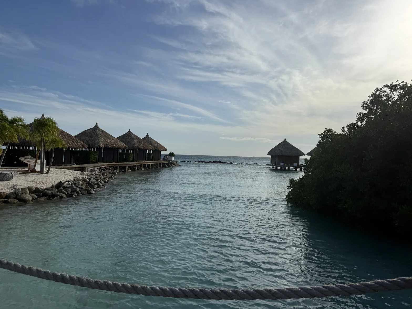 IMG_5401.webp