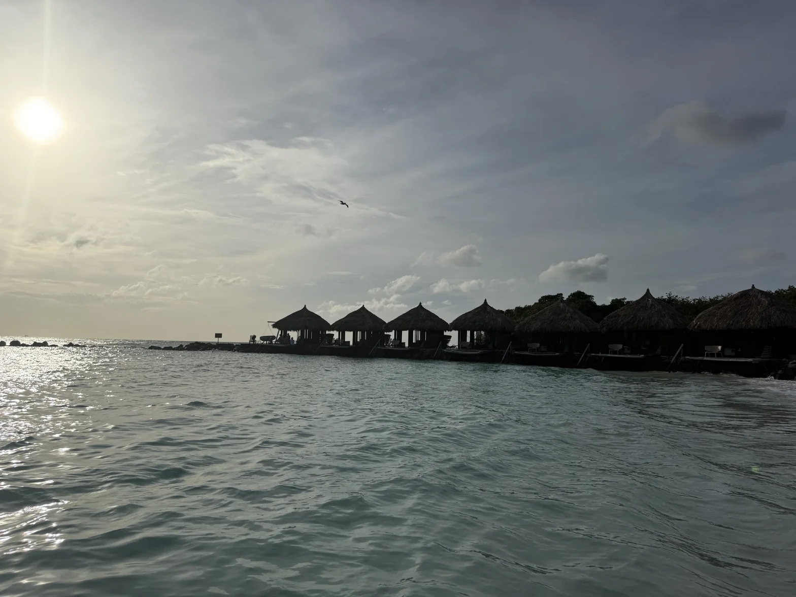 IMG_5409.webp