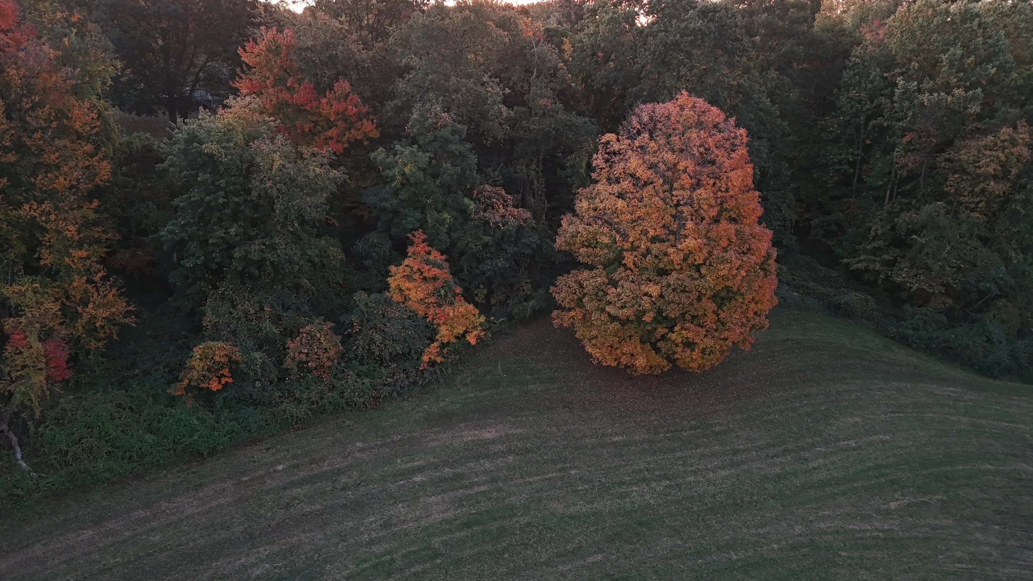 dji_fly_20261015_064830_0003_1792061632986_photo_beautify.webp