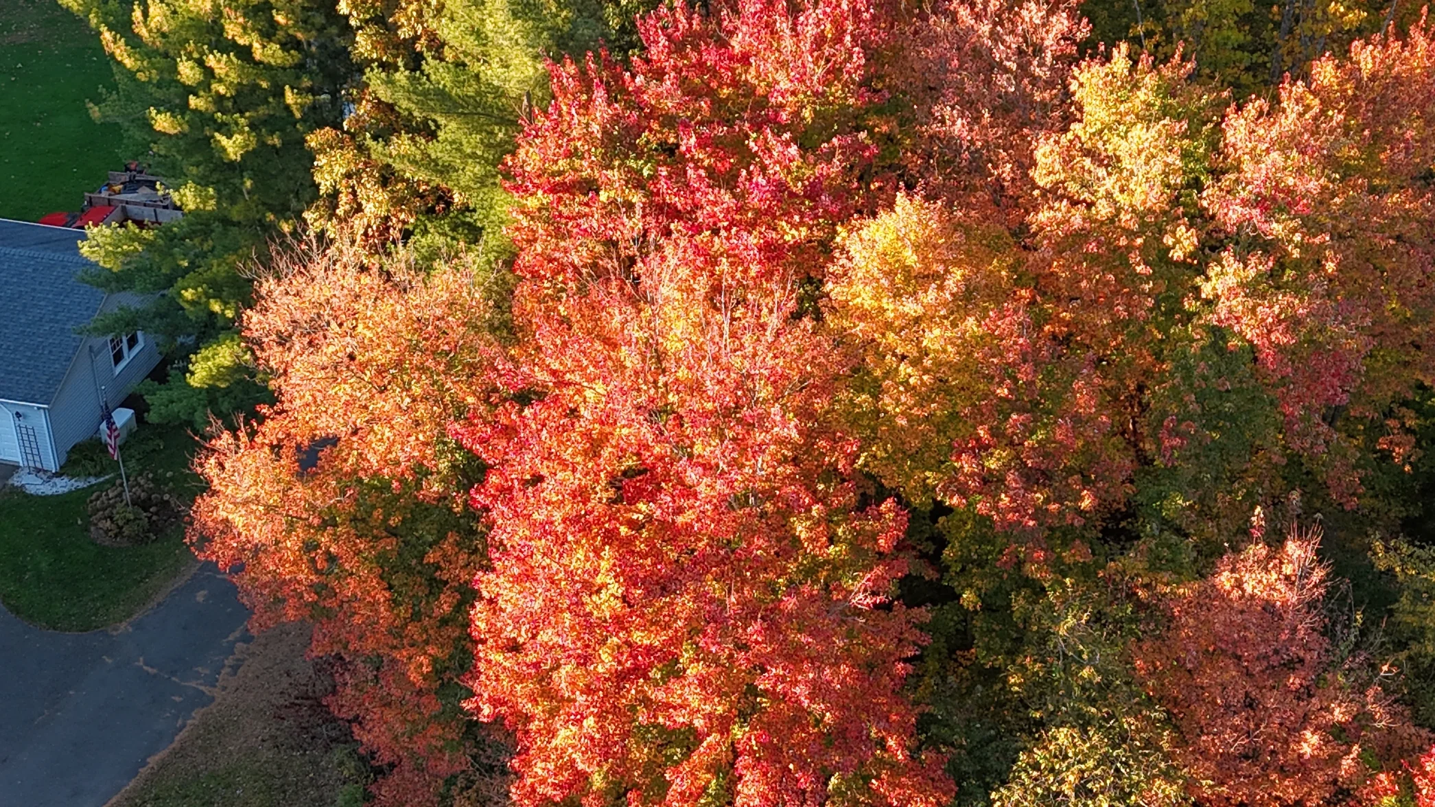 dji_fly_20261018_173732_0033_1792359517156_photo_beautify.webp