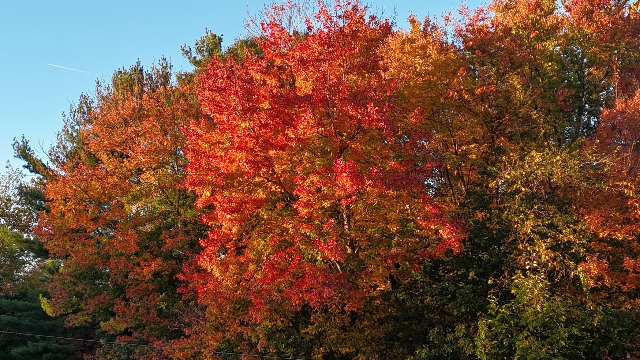dji_fly_20261018_173708_0032_1792359523175_photo_beautify.webp