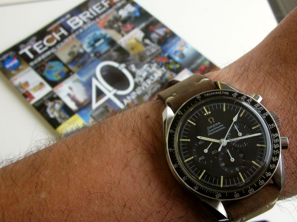 TB cv 4 IMG_2672.jpg