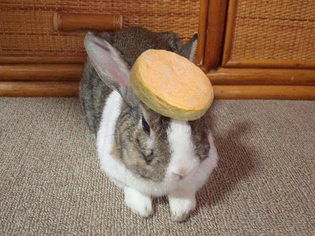 pancake_bunny.jpg
