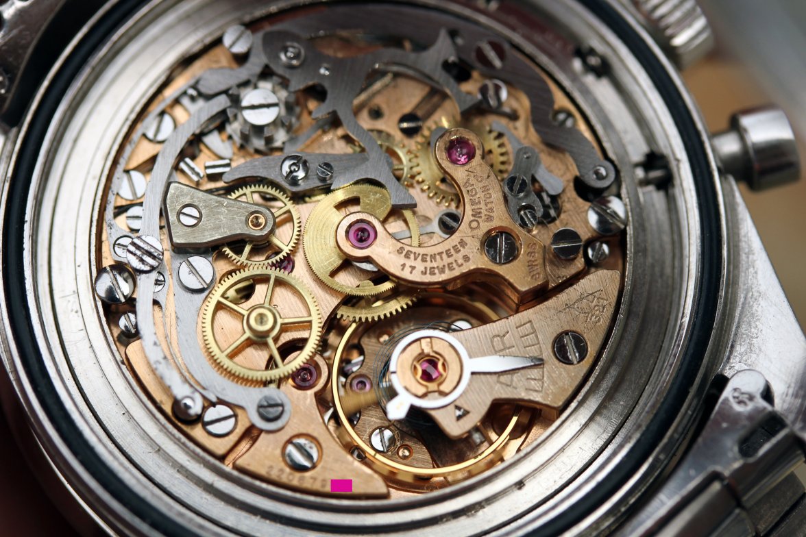 IMG_7915.jpg IMG_7915.jpg