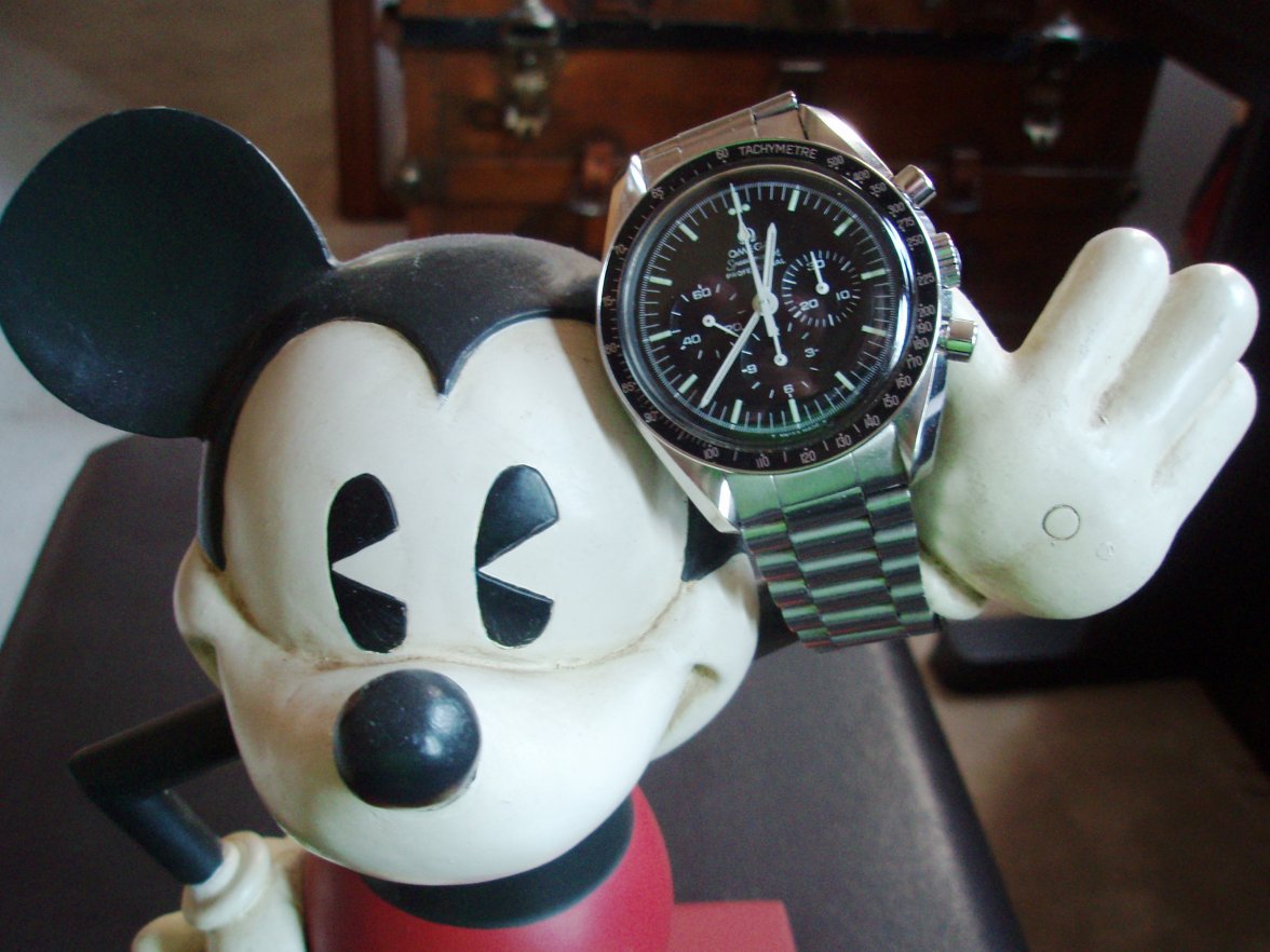 P3221141.JPG P3221141.JPG