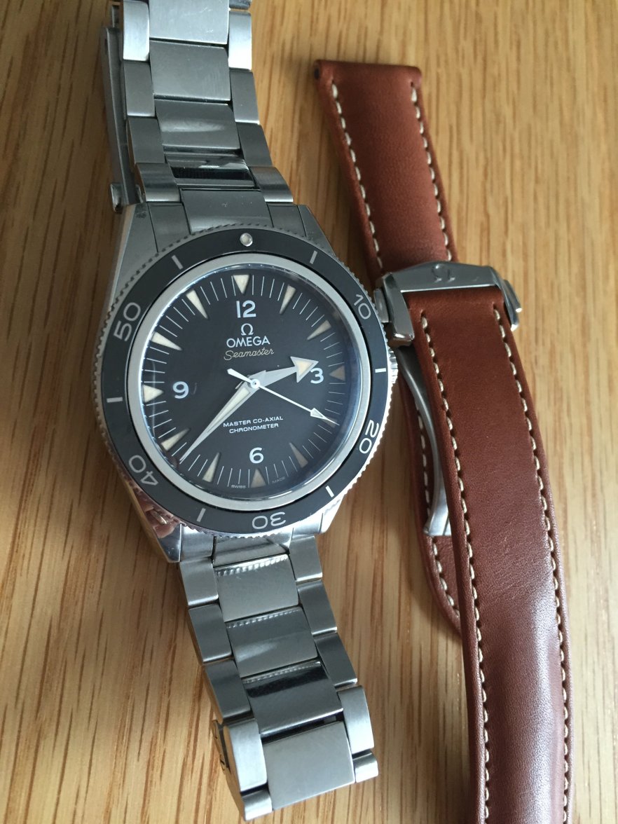 changing omega watch strap