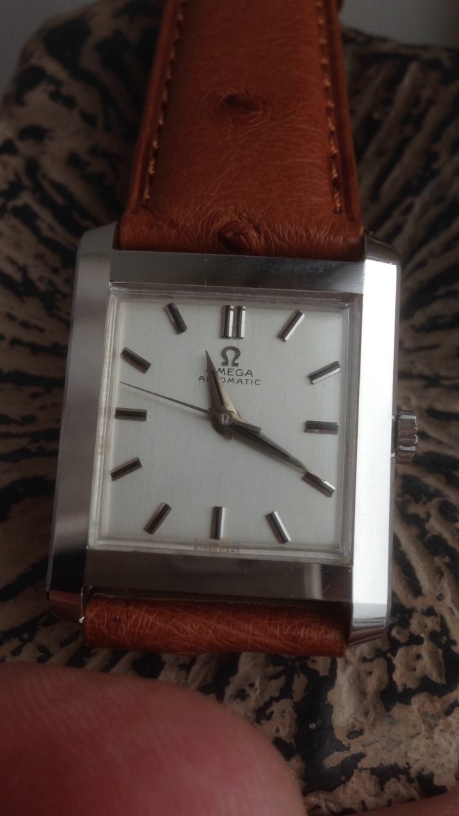 image.jpeg image.jpeg