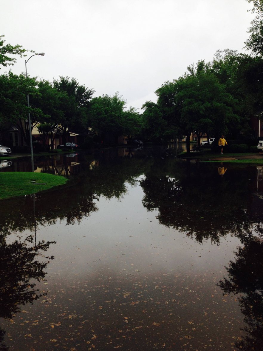 Stable Brook 4.18.16.jpg