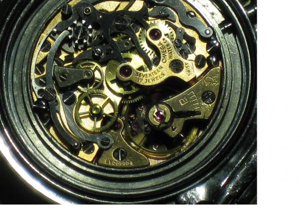 IMG_7472-1.jpg IMG_7472-1.jpg