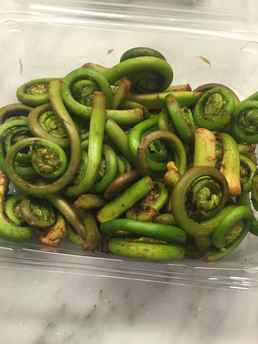 April 9 2016 001.JPG