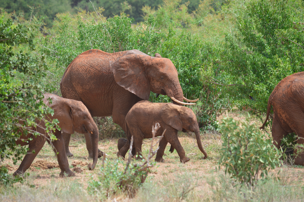 Schermafbeelding 2016-04-23 om 23.44.23.png