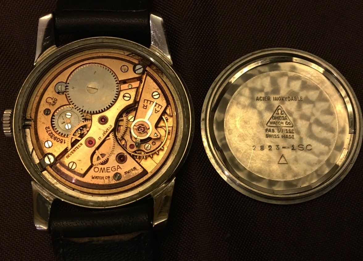 image.jpeg image.jpeg