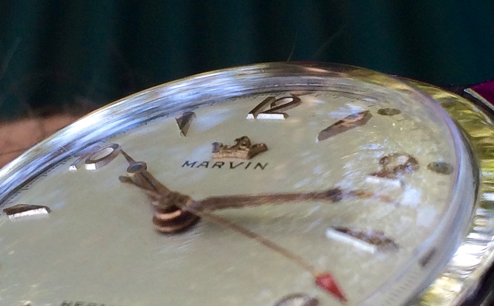 Photo Sep 15, 11 37 38 AM.jpg