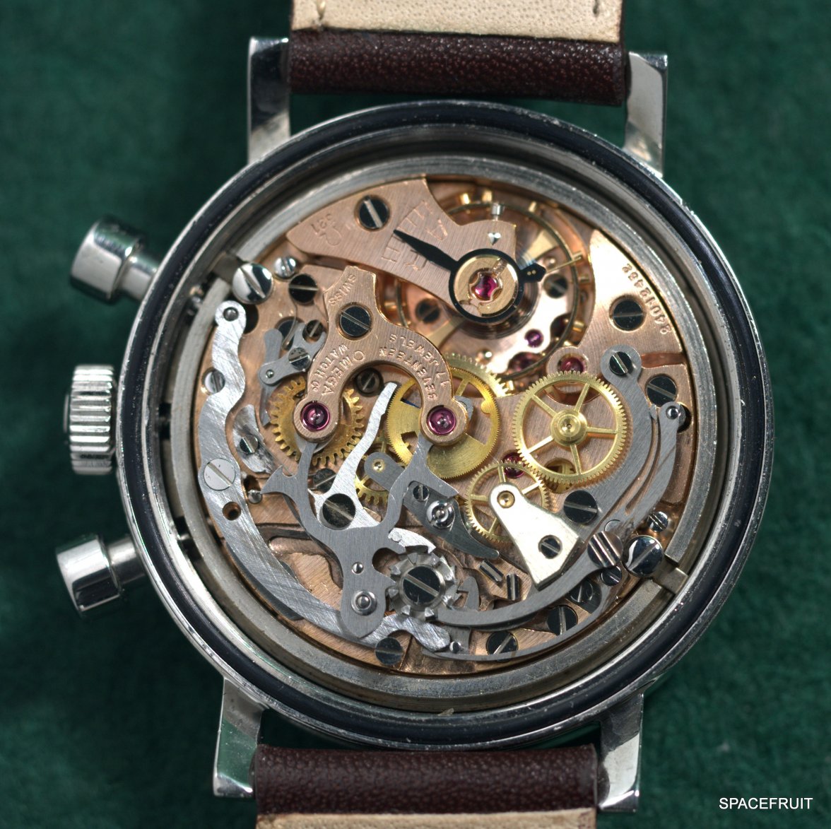 P5020003-001.jpg P5020003-001.jpg