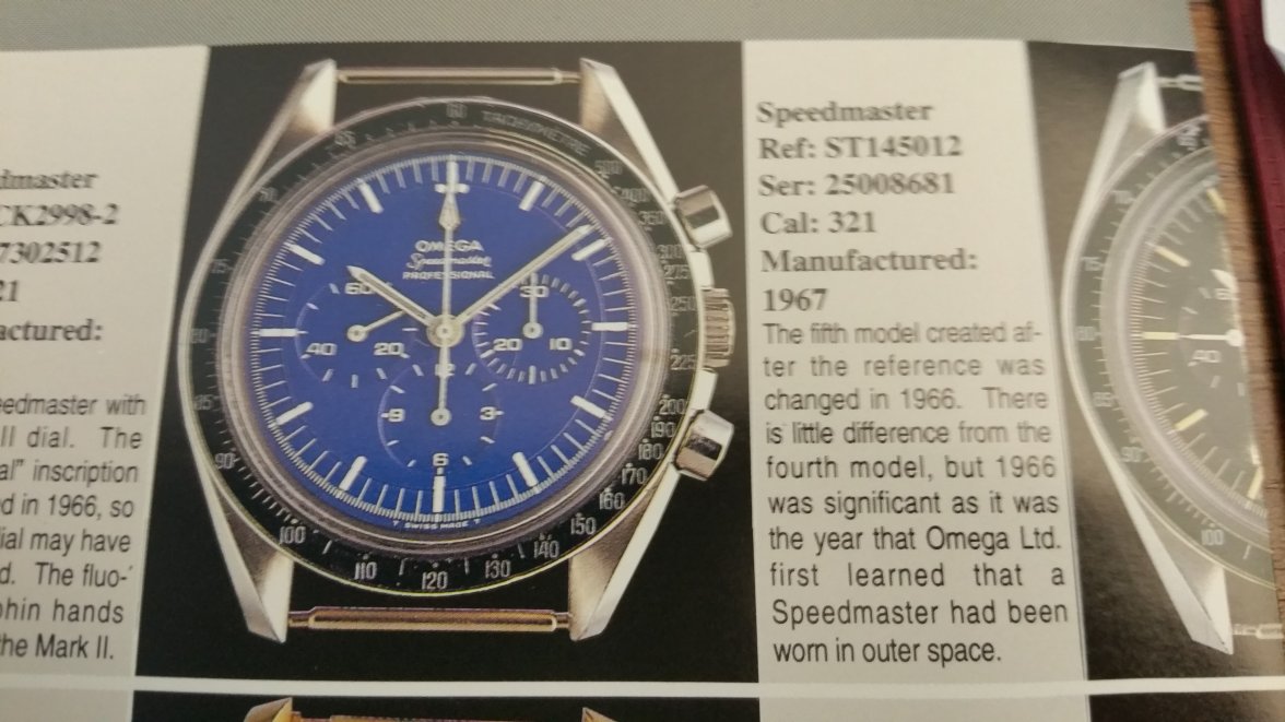 blue speedy.jpg