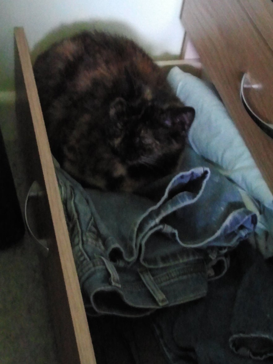 2016-04-20 16.36.04.jpg