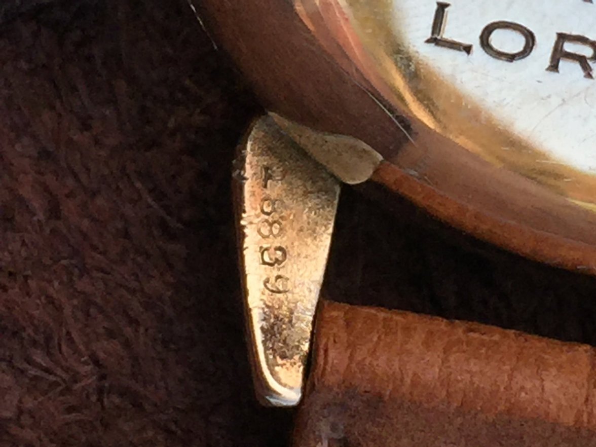 image.jpeg image.jpeg