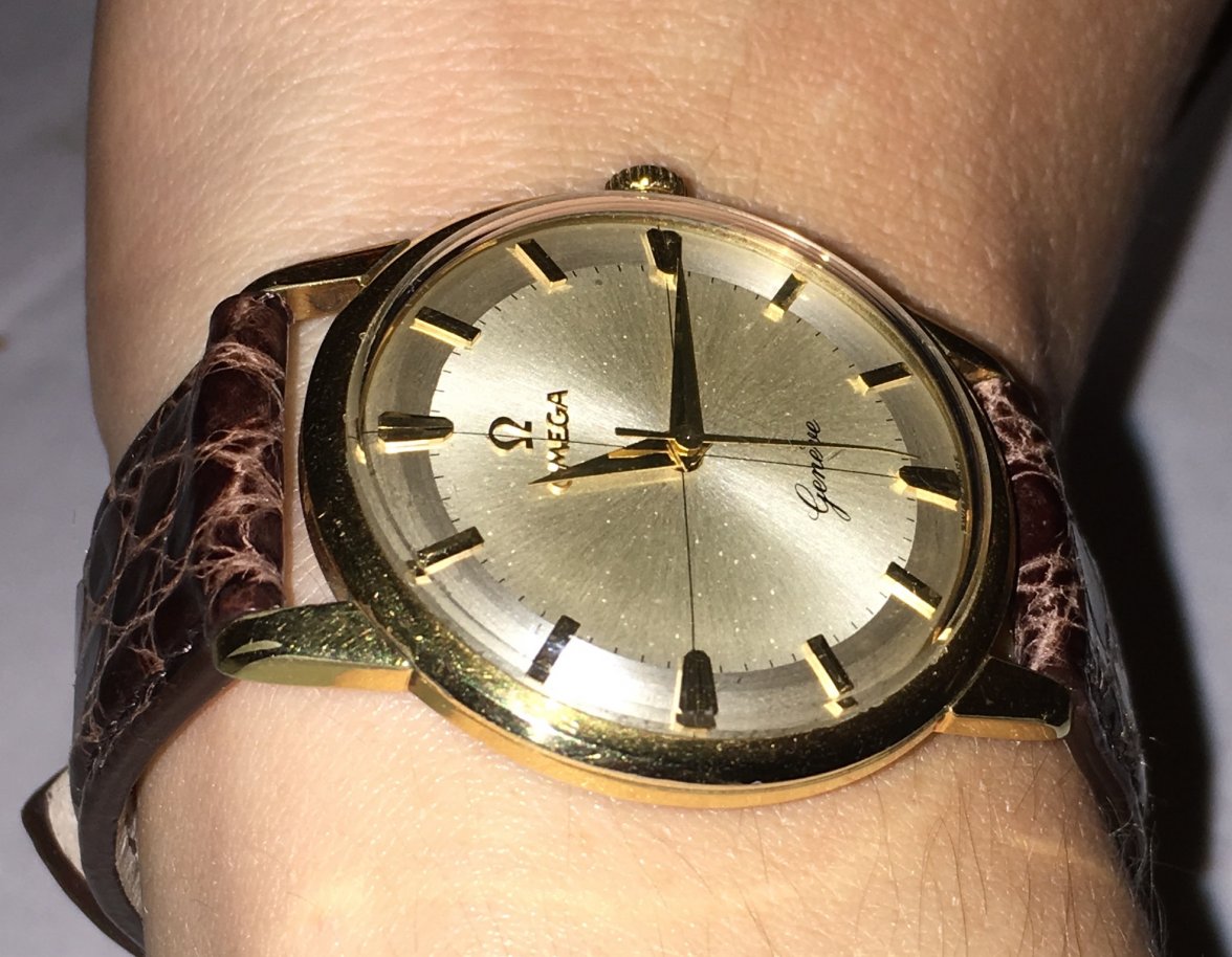 image.jpeg image.jpeg