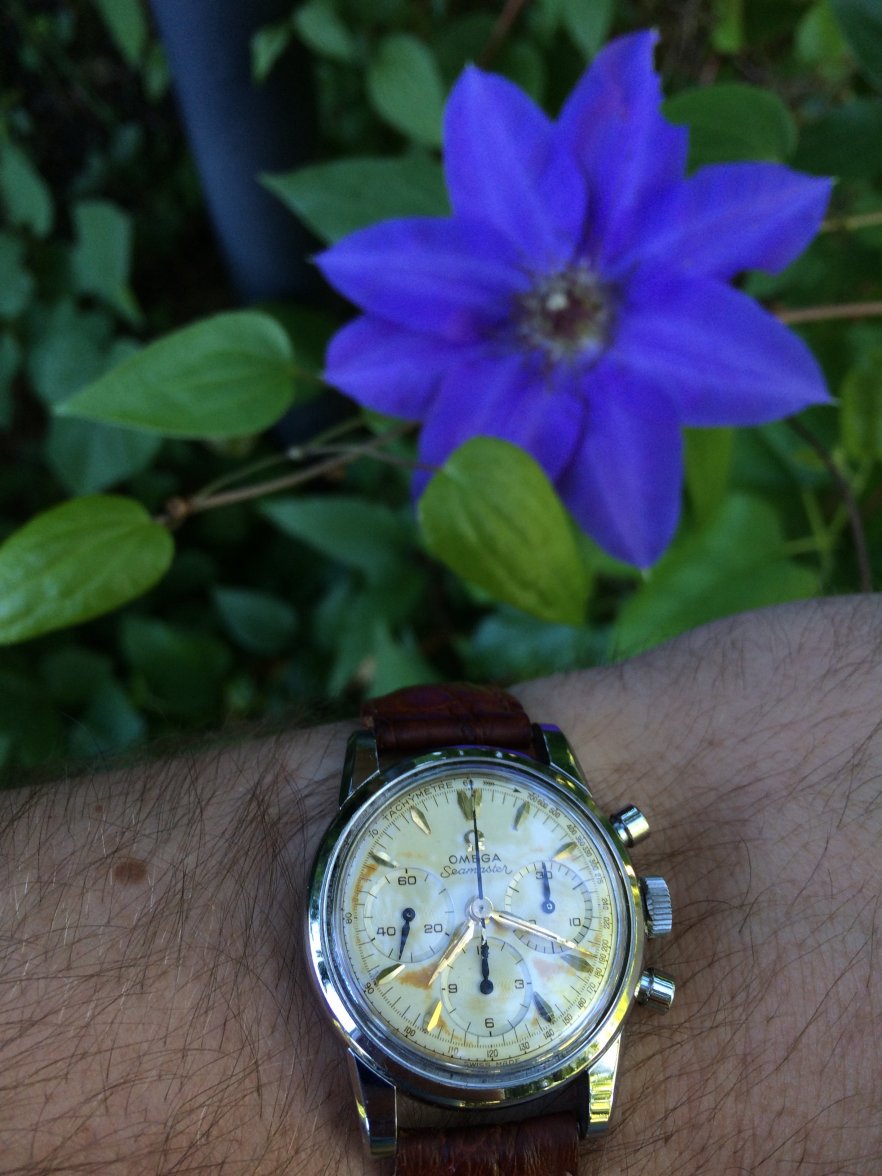 image.jpeg image.jpeg