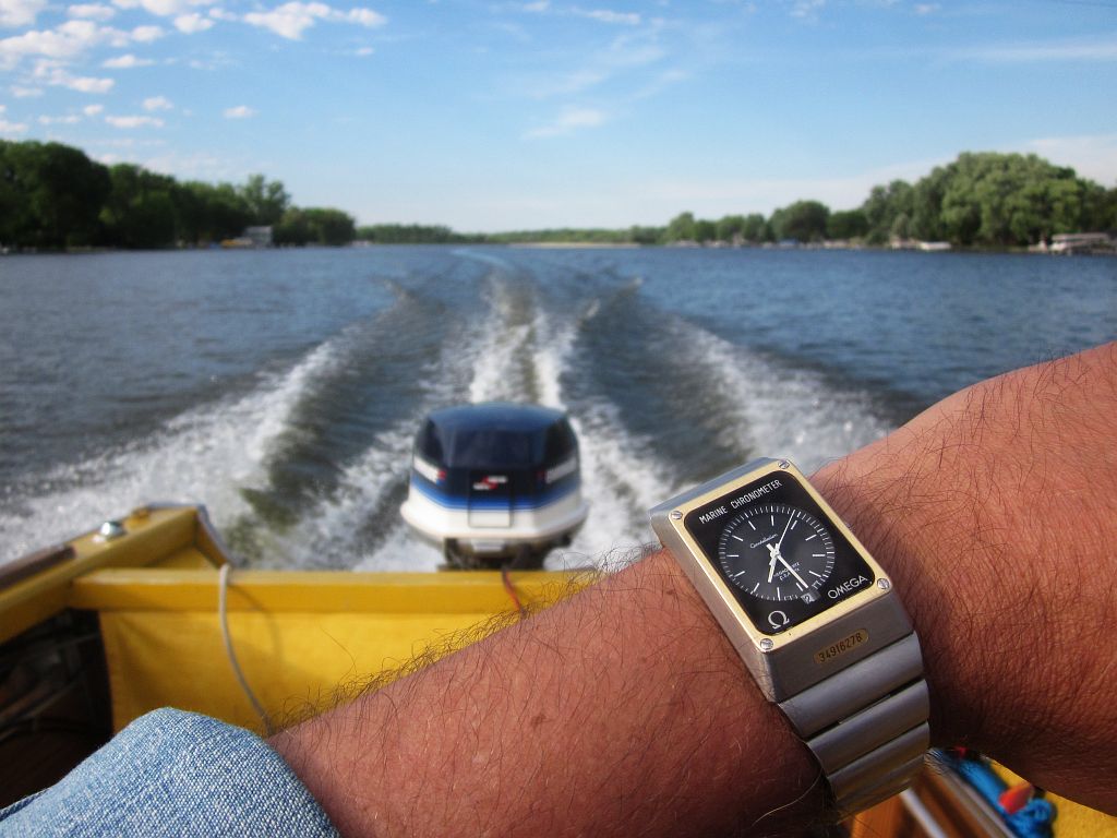 OMC ws back IMG_3899.jpg