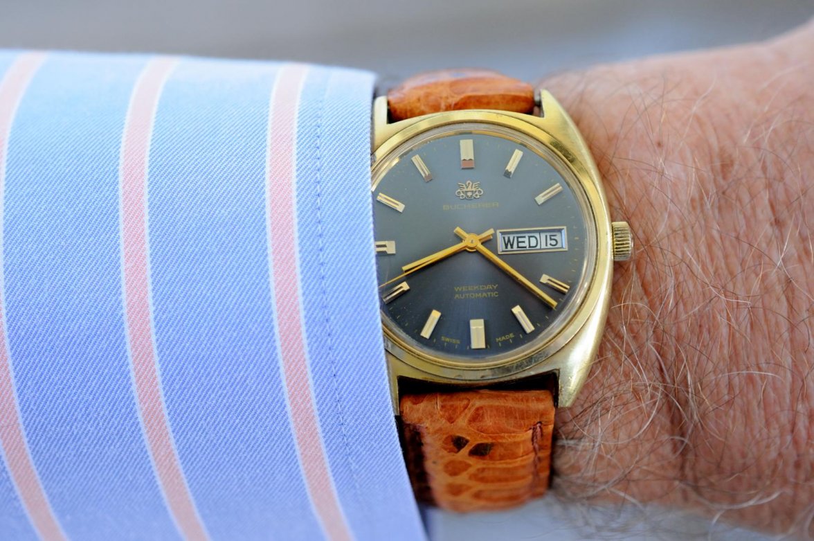 Python Strap_061516 2672.jpg