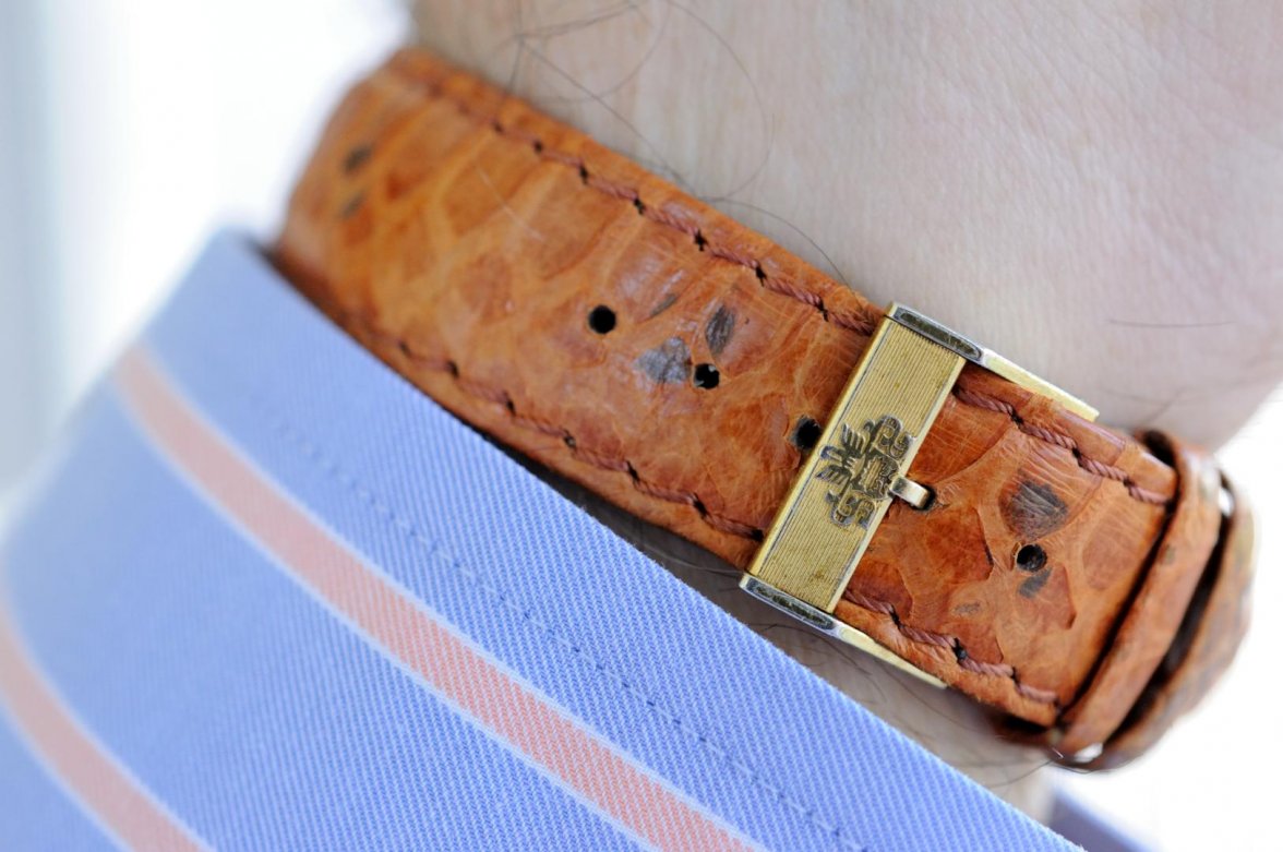 Python Strap_061516 2659.jpg