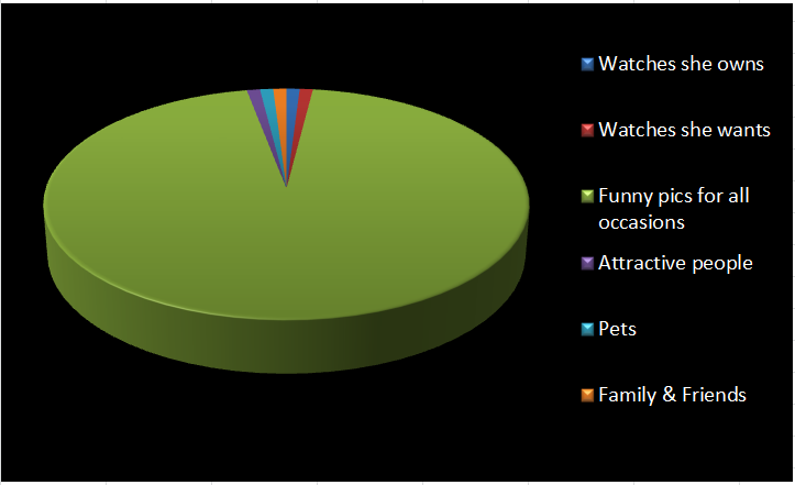 Megan's PIctures Pie Chart.PNG