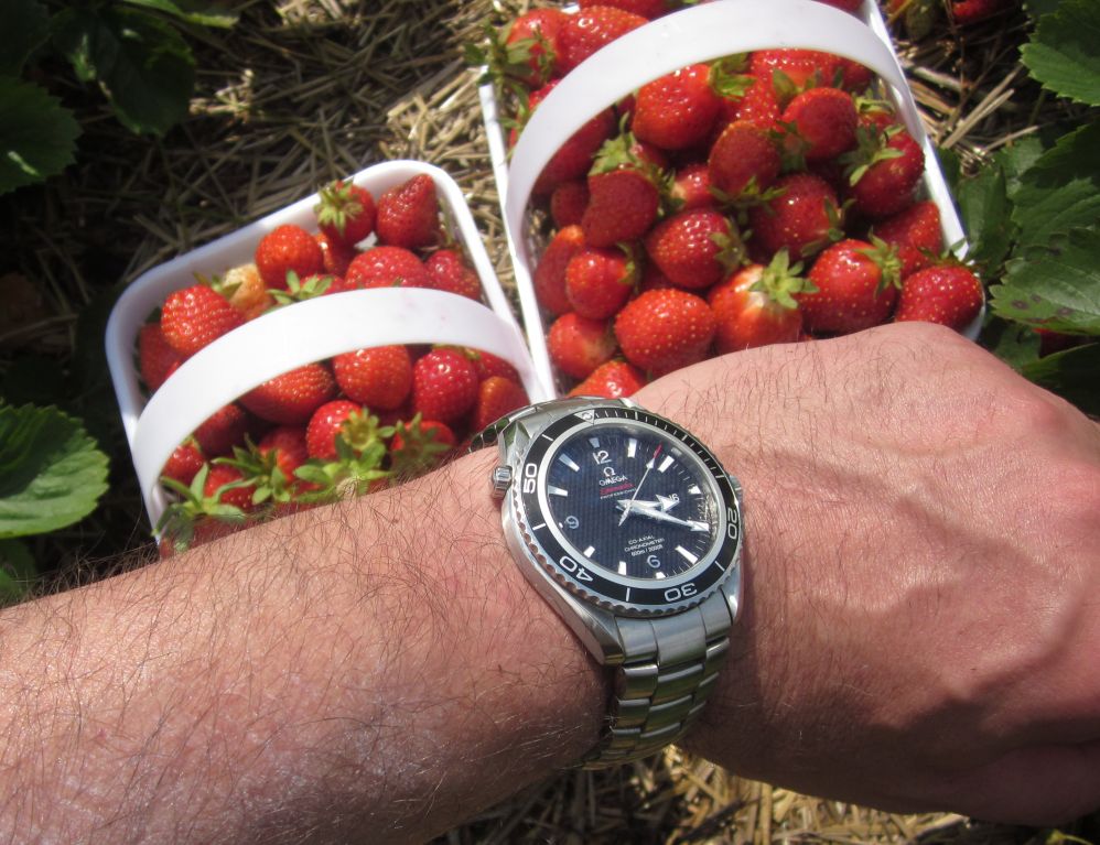 Strawberry QOS IMG_2507.jpg