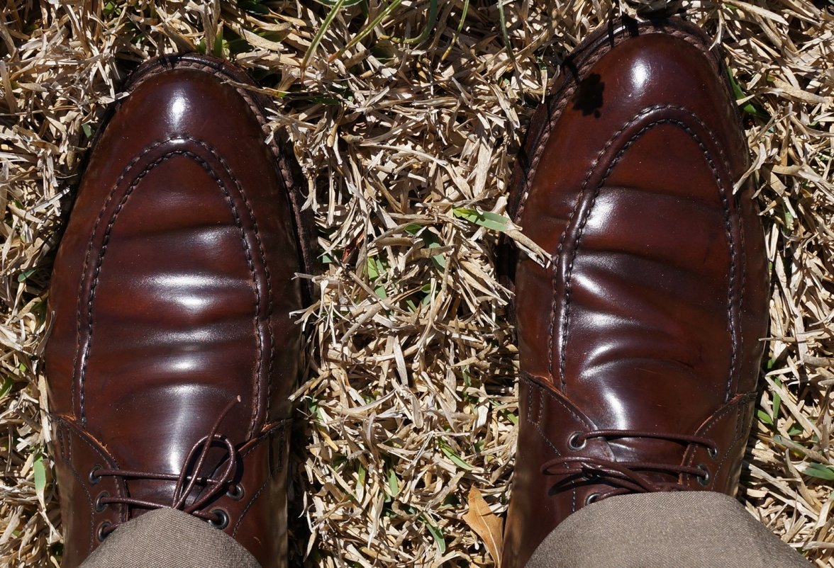 C&J Gifford Brown Shell (Copy).JPG