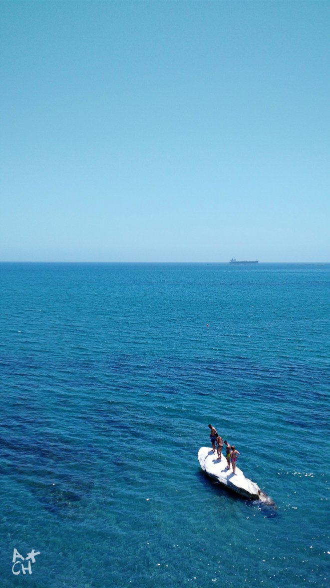 2016-07-17 05.16.30 1.jpg