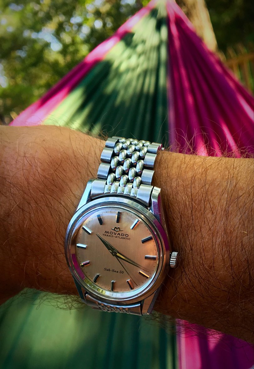 image.jpeg image.jpeg