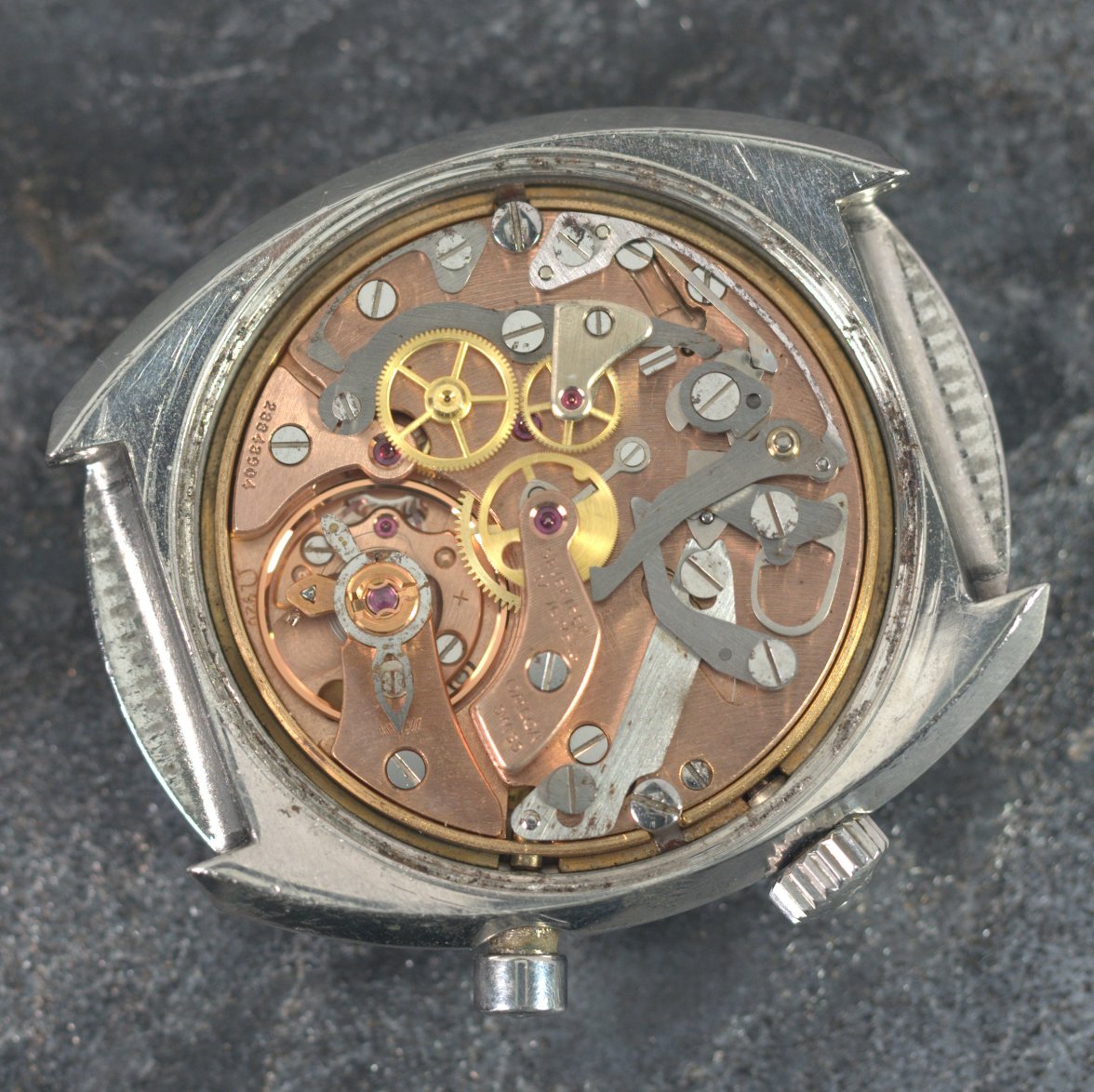 P8090008.jpg P8090008.jpg